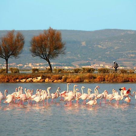 La Cabane Du Mas Andalou Plage Premiere Ligne De Mer Frontignan Bagian luar foto