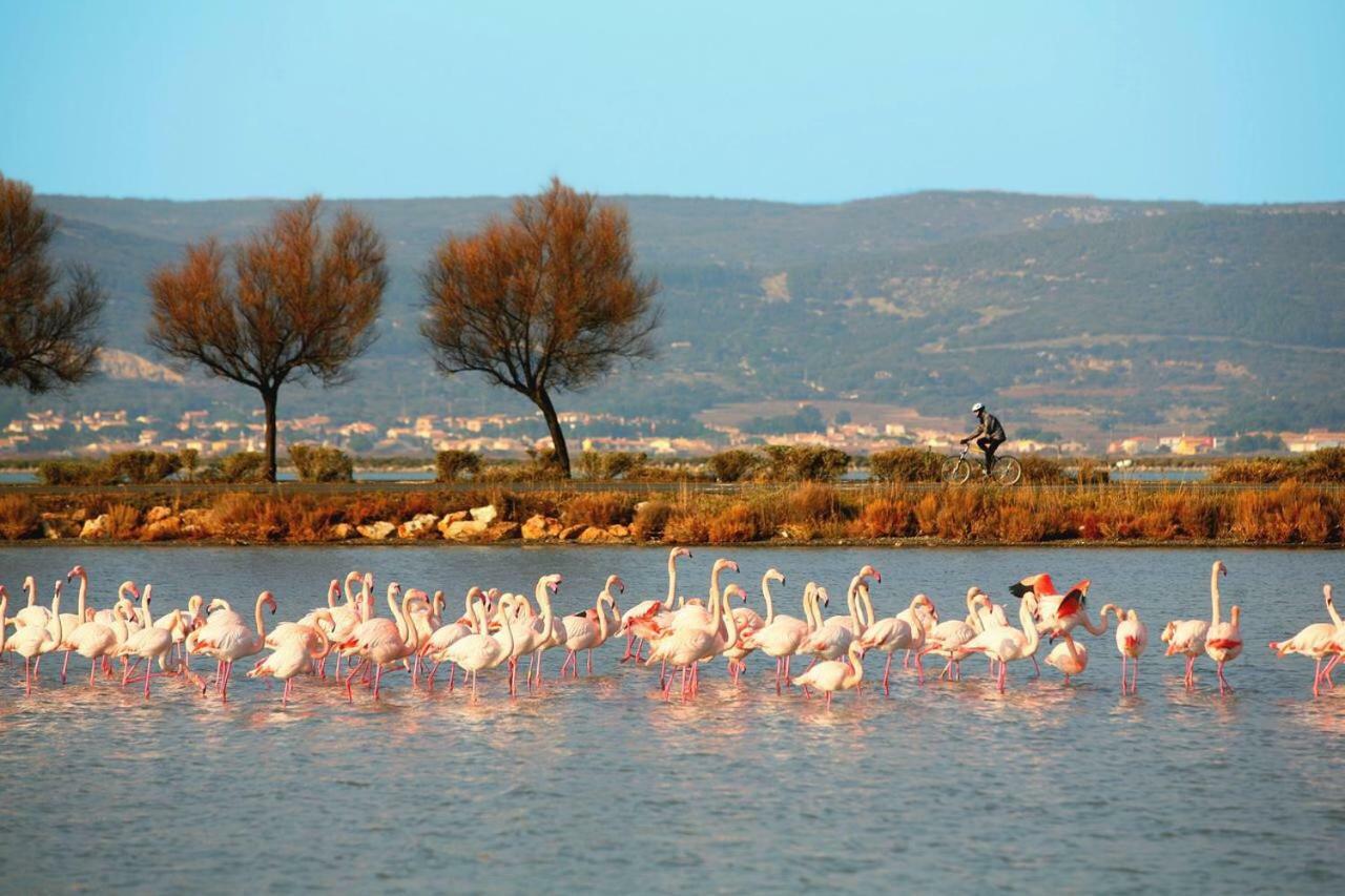 La Cabane Du Mas Andalou Plage Premiere Ligne De Mer Frontignan Bagian luar foto